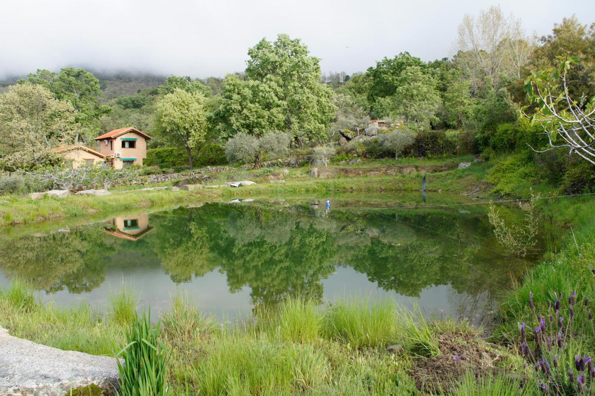 Hotel Rural El Camino Candeleda Esterno foto